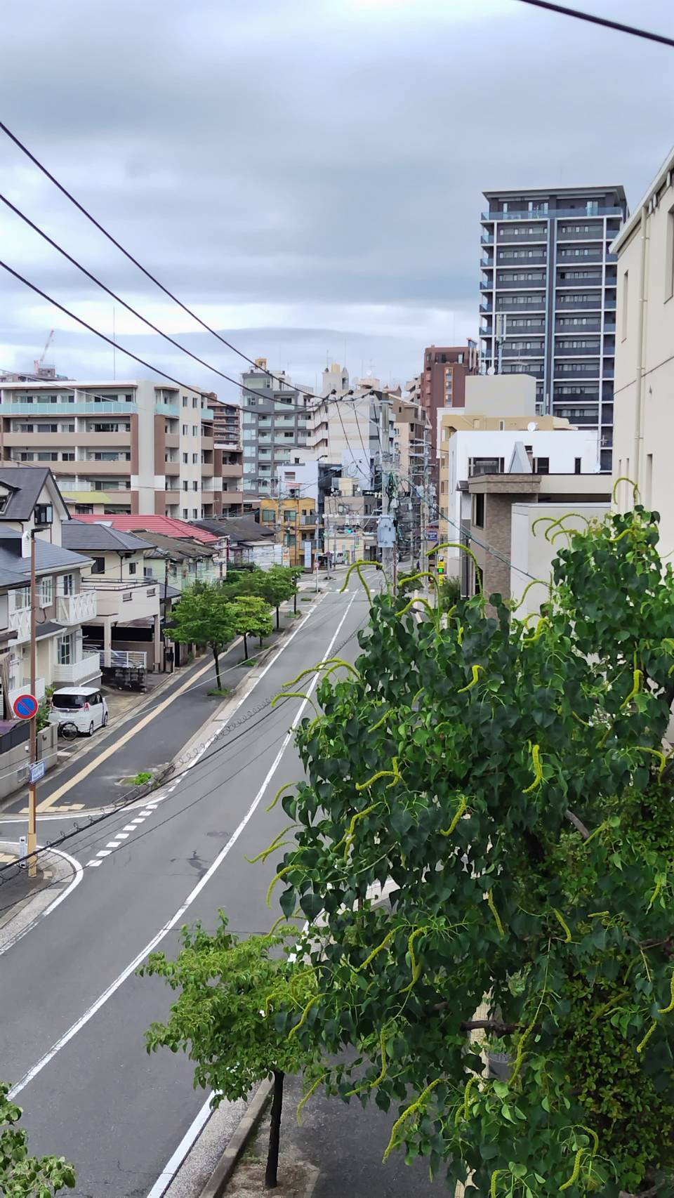 オフィス周辺の街並み(福岡市中央区桜坂)